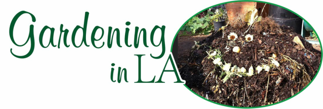 Gardening In LA
